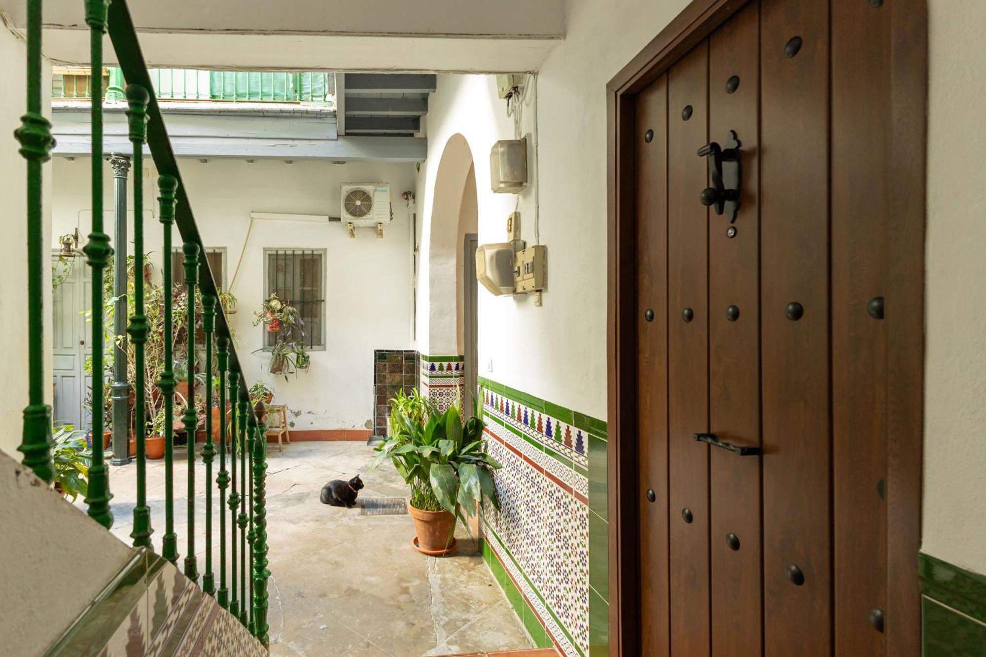 Modern Spacious Apartment Central Of Seville, Seville